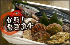 新鮮！厳選魚介